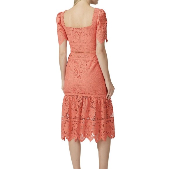 SAYLOR Louisa‎ Midi Coral Lace Romantic Feminine Dress SIZE XS RETAIL $253 - Picture 2 of 10